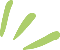 Blixt-1-kiwi